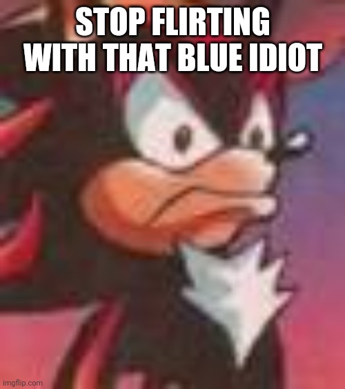 Shadow the Hedgehog | STOP FLIRTING WITH THAT BLUE IDIOT | image tagged in shadow the hedgehog | made w/ Imgflip meme maker