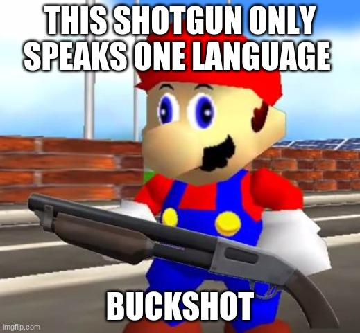 SMG4 Shotgun Mario | THIS SHOTGUN ONLY SPEAKS ONE LANGUAGE; BUCKSHOT | image tagged in smg4 shotgun mario | made w/ Imgflip meme maker