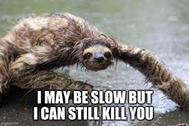 I MAY BE SLOW BUT I CAN STILL KILL YOU | made w/ Imgflip meme maker