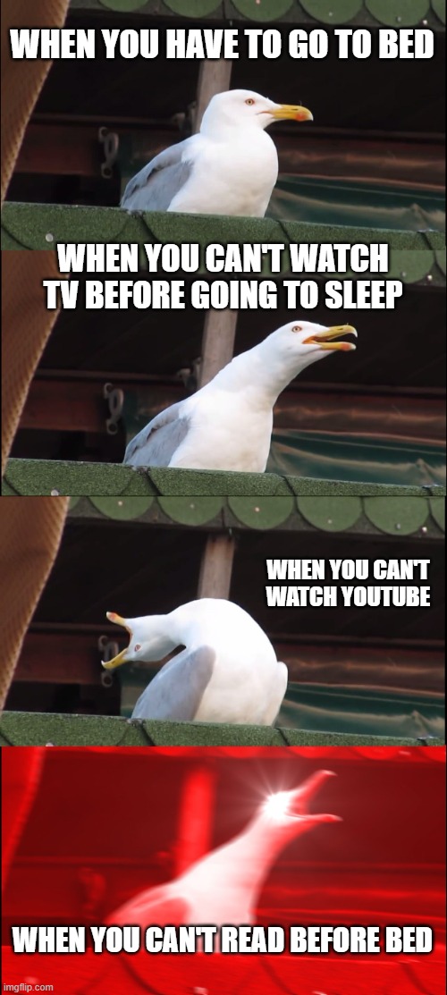 Inhaling Seagull | WHEN YOU HAVE TO GO TO BED; WHEN YOU CAN'T WATCH TV BEFORE GOING TO SLEEP; WHEN YOU CAN'T WATCH YOUTUBE; WHEN YOU CAN'T READ BEFORE BED | image tagged in memes,inhaling seagull | made w/ Imgflip meme maker