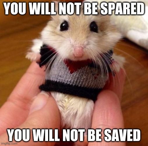 Hampster in sweater | YOU WILL NOT BE SPARED; YOU WILL NOT BE SAVED | image tagged in hampster in sweater,fnaf | made w/ Imgflip meme maker