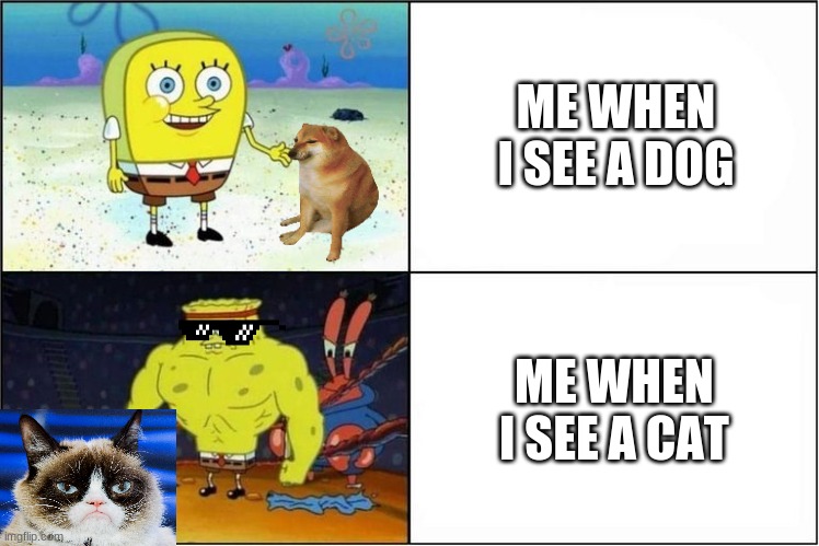 Weak vs Strong Spongebob | ME WHEN I SEE A DOG; ME WHEN I SEE A CAT | image tagged in weak vs strong spongebob | made w/ Imgflip meme maker