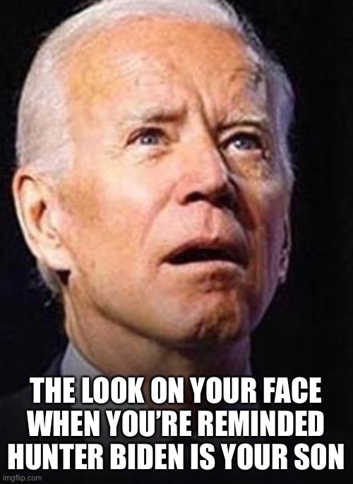 First BLM, now this... | THE LOOK ON YOUR FACE
WHEN YOU’RE REMINDED
HUNTER BIDEN IS YOUR SON | image tagged in memes,joe biden,bad day at work,bouncing boobs,wait what,camel toe | made w/ Imgflip meme maker