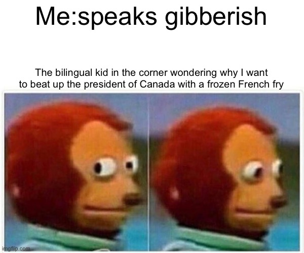 Monkey Puppet Meme | Me:speaks gibberish; The bilingual kid in the corner wondering why I want to beat up the president of Canada with a frozen French fry | image tagged in memes,monkey puppet | made w/ Imgflip meme maker