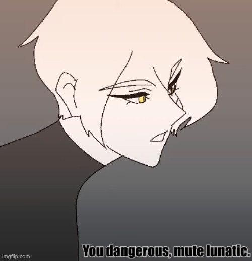 you dangerous, mute lunatic | image tagged in you dangerous mute lunatic | made w/ Imgflip meme maker