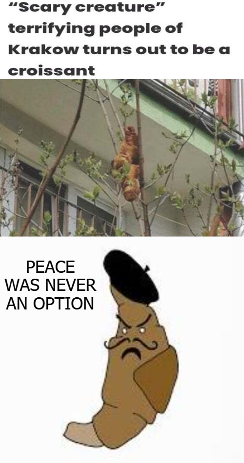 PEACE WAS NEVER AN OPTION | image tagged in goober | made w/ Imgflip meme maker