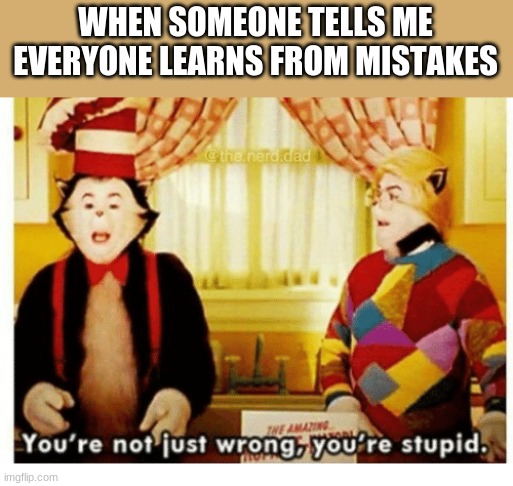 no | WHEN SOMEONE TELLS ME EVERYONE LEARNS FROM MISTAKES | image tagged in you're not just wrong your stupid | made w/ Imgflip meme maker