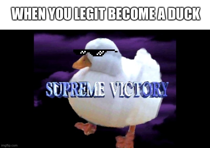 W’s | WHEN YOU LEGIT BECOME A DUCK | image tagged in supreme victory duck | made w/ Imgflip meme maker