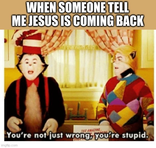 He doesn't want to come to the Stupid earth. | WHEN SOMEONE TELL ME JESUS IS COMING BACK | image tagged in you're not just wrong your stupid | made w/ Imgflip meme maker