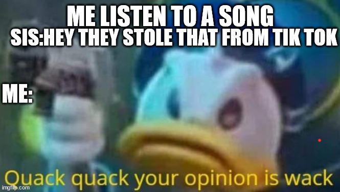 veqrg | SIS:HEY THEY STOLE THAT FROM TIK TOK; ME LISTEN TO A SONG; ME: | image tagged in quack quack your opinion is wack | made w/ Imgflip meme maker