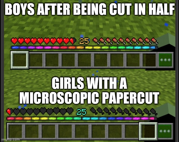 i like to get feminists pissed off, reminds me of useless anime girls | BOYS AFTER BEING CUT IN HALF; GIRLS WITH A MICROSCOPIC PAPERCUT | image tagged in x vs y | made w/ Imgflip meme maker