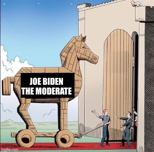 Trojan Horse | JOE BIDEN THE MODERATE | image tagged in trojan horse | made w/ Imgflip meme maker