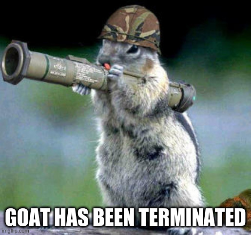 Bazooka Squirrel Meme | GOAT HAS BEEN TERMINATED | image tagged in memes,bazooka squirrel | made w/ Imgflip meme maker