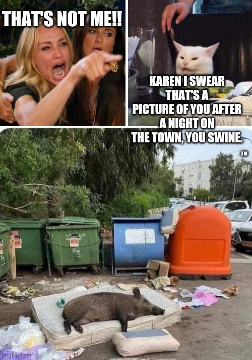 THAT'S NOT ME!! KAREN I SWEAR THAT'S A PICTURE OF YOU AFTER A NIGHT ON THE TOWN, YOU SWINE. J M | image tagged in smudge the cat | made w/ Imgflip meme maker