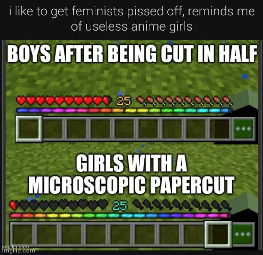 No girls with opposing perspectives are allowed here (THAT INCLUDES SNOWFLAKES) | made w/ Imgflip meme maker