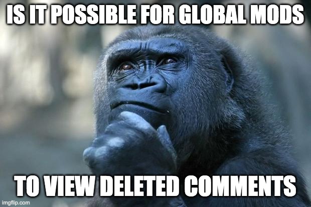 There are 3 users (likely alts) that falsely accuse me of illegal acts then delete their comments without repercussions. | IS IT POSSIBLE FOR GLOBAL MODS; TO VIEW DELETED COMMENTS | image tagged in deep thoughts,memes,imgflip | made w/ Imgflip meme maker