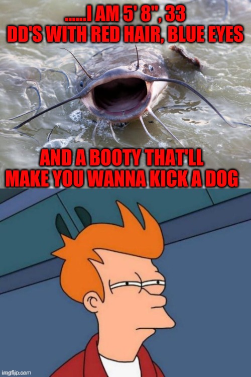 ......I AM 5' 8", 33 DD'S WITH RED HAIR, BLUE EYES; AND A BOOTY THAT'LL MAKE YOU WANNA KICK A DOG | image tagged in catfish | made w/ Imgflip meme maker