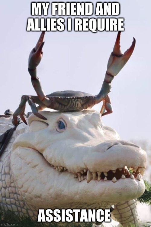 assistance is needed | MY FRIEND AND ALLIES I REQUIRE; ASSISTANCE | image tagged in alligator crab template | made w/ Imgflip meme maker