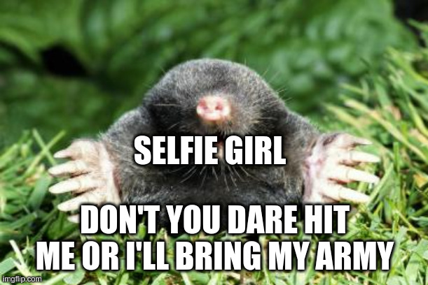 Mole | SELFIE GIRL DON'T YOU DARE HIT ME OR I'LL BRING MY ARMY | image tagged in mole | made w/ Imgflip meme maker