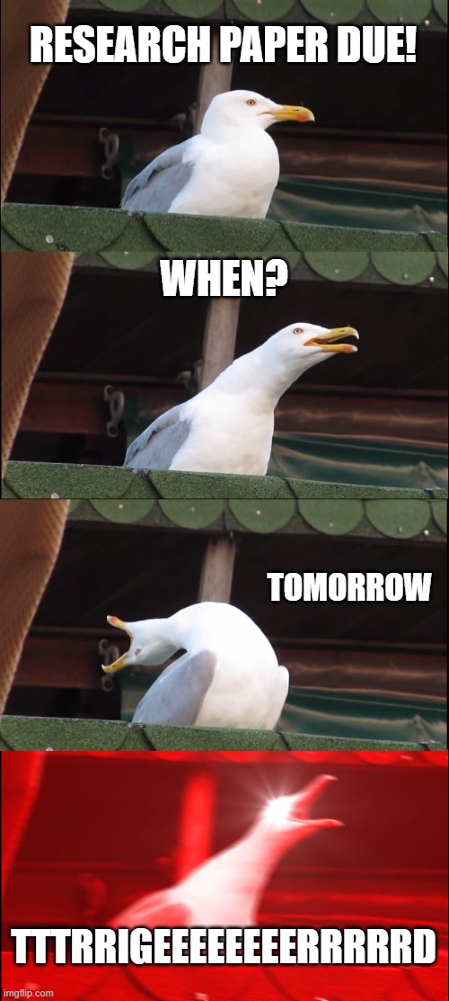 Research Paper | RESEARCH PAPER DUE! WHEN? TOMORROW; TTTRRIGEEEEEEEERRRRRD | image tagged in memes,inhaling seagull | made w/ Imgflip meme maker
