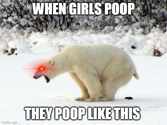Polar Bear Shits in the Snow | WHEN GIRLS POOP; THEY POOP LIKE THIS | image tagged in polar bear shits in the snow | made w/ Imgflip meme maker