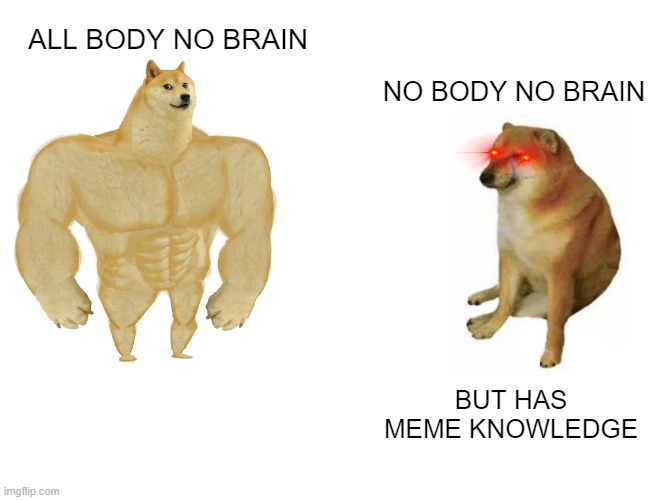 memer OP | ALL BODY NO BRAIN; NO BODY NO BRAIN; BUT HAS MEME KNOWLEDGE | image tagged in memes,buff doge vs cheems | made w/ Imgflip meme maker