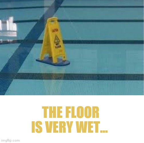 U had on job | THE FLOOR IS VERY WET... | image tagged in you had one job,you had one job just the one | made w/ Imgflip meme maker