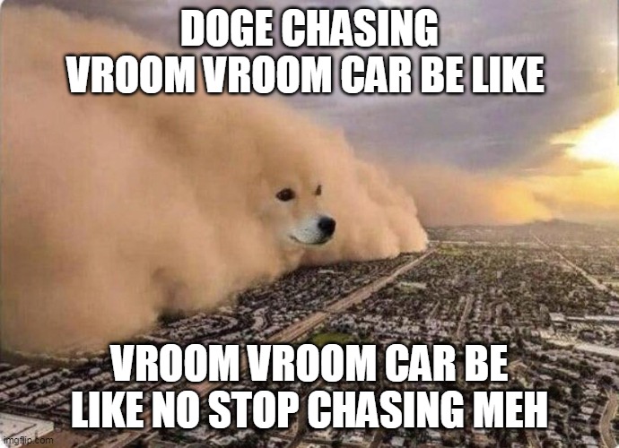 Doge Cloud | DOGE CHASING VROOM VROOM CAR BE LIKE; VROOM VROOM CAR BE LIKE NO STOP CHASING MEH | image tagged in doge cloud | made w/ Imgflip meme maker