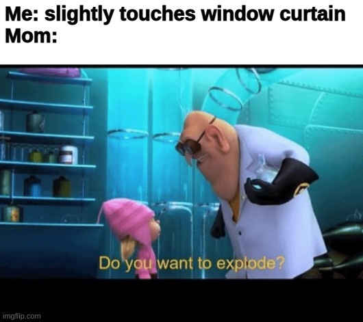 dont touch it | Me: slightly touches window curtain
Mom: | image tagged in do you want to explode,memes,mom,house,minions,boomer | made w/ Imgflip meme maker