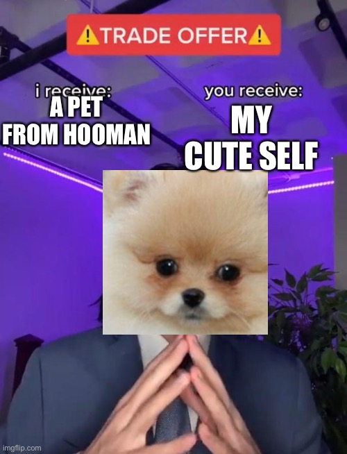 do it for doggo | MY CUTE SELF; A PET FROM HOOMAN | image tagged in trade offer,dog | made w/ Imgflip meme maker