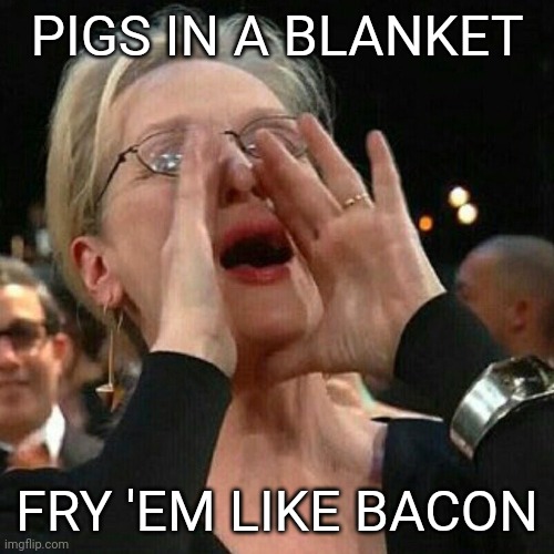 Meryl Streep yelling | PIGS IN A BLANKET; FRY 'EM LIKE BACON | image tagged in meryl streep yelling | made w/ Imgflip meme maker