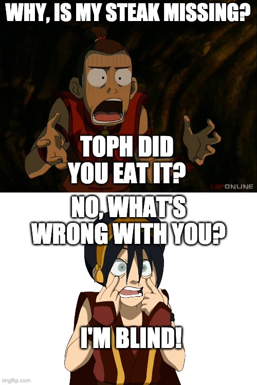 Sokka What | WHY, IS MY STEAK MISSING? TOPH DID YOU EAT IT? NO, WHAT'S WRONG WITH YOU? I'M BLIND! | image tagged in sokka what | made w/ Imgflip meme maker