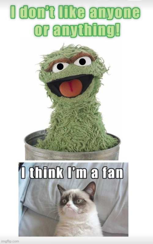 Oscar the Grouch & Grumpycat: 2 kindred spirits | image tagged in grumpy cat happy,oscar the grouch,grumpy cat again | made w/ Imgflip meme maker