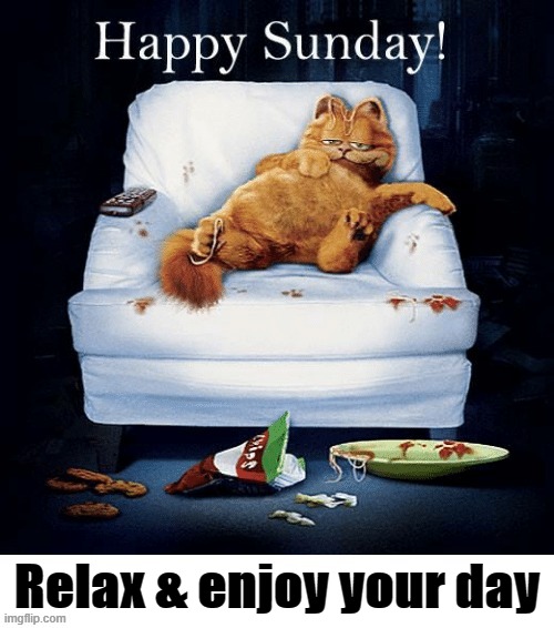Sunday | Relax & enjoy your day | image tagged in memes | made w/ Imgflip meme maker