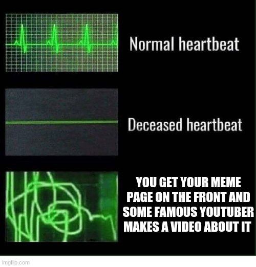 in the end that wont happen | YOU GET YOUR MEME PAGE ON THE FRONT AND SOME FAMOUS YOUTUBER MAKES A VIDEO ABOUT IT | image tagged in normal heartbeat deceased heartbeat | made w/ Imgflip meme maker