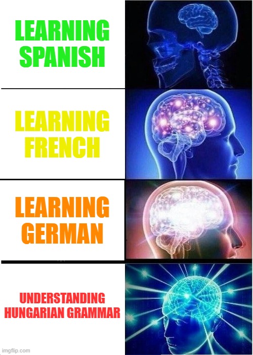 Languages | LEARNING SPANISH; LEARNING FRENCH; LEARNING GERMAN; UNDERSTANDING HUNGARIAN GRAMMAR | image tagged in memes,expanding brain,language,relatable,hungary | made w/ Imgflip meme maker