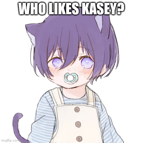 Kasey | WHO LIKES KASEY? | image tagged in kasey | made w/ Imgflip meme maker