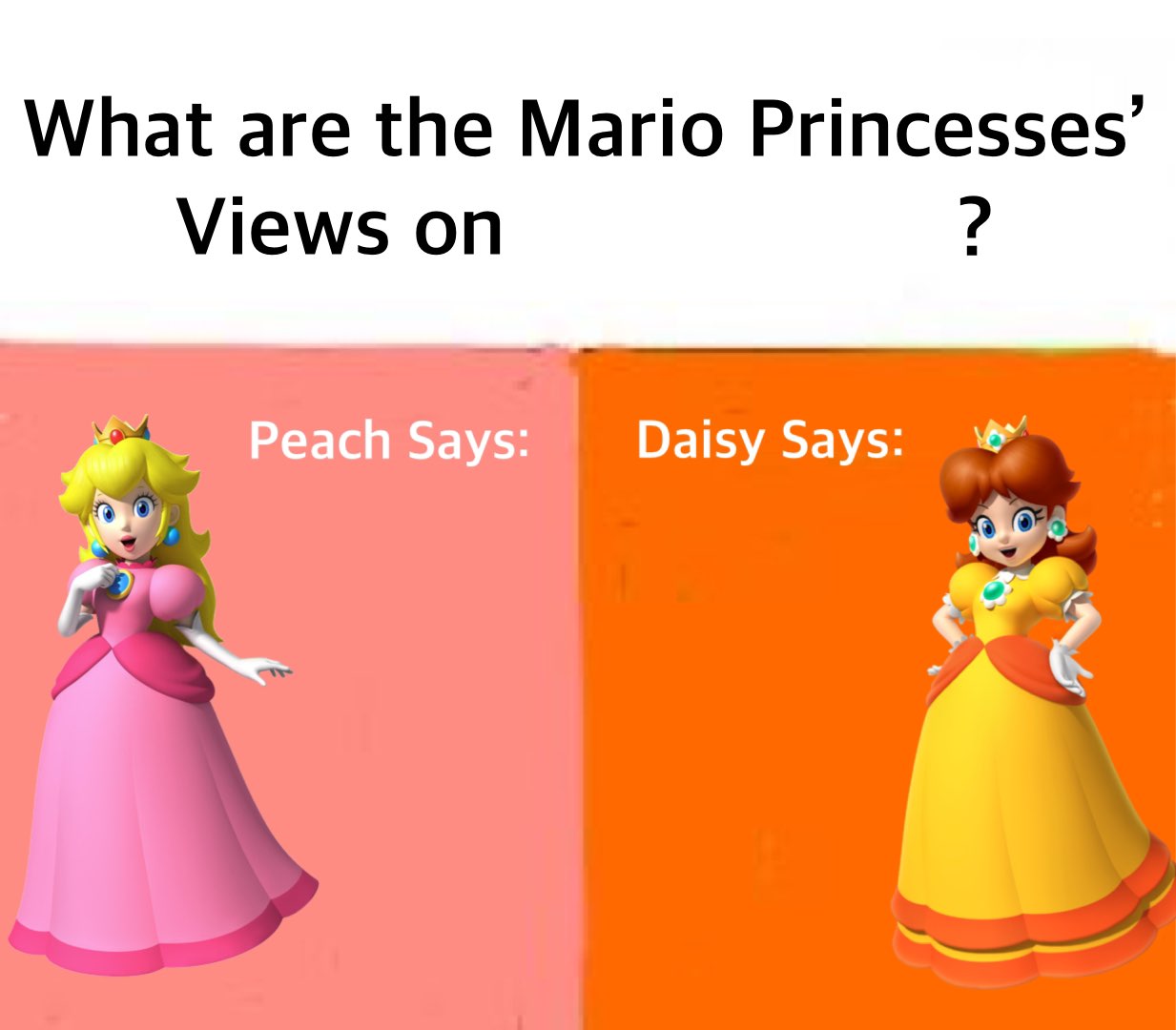 Mario Princesses' Views Blank Meme Template