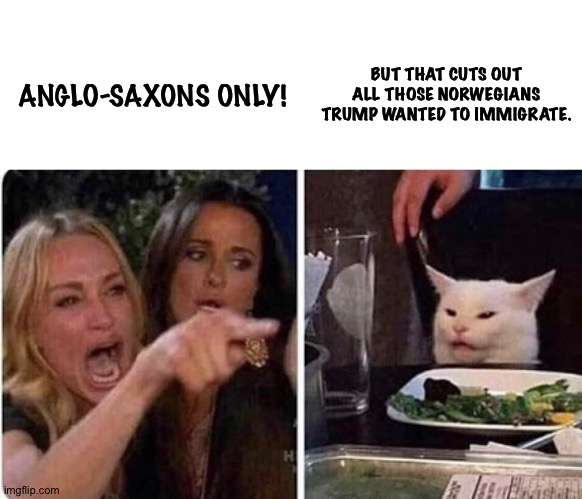 Lady screams at cat | ANGLO-SAXONS ONLY! BUT THAT CUTS OUT ALL THOSE NORWEGIANS TRUMP WANTED TO IMMIGRATE. | image tagged in lady screams at cat | made w/ Imgflip meme maker