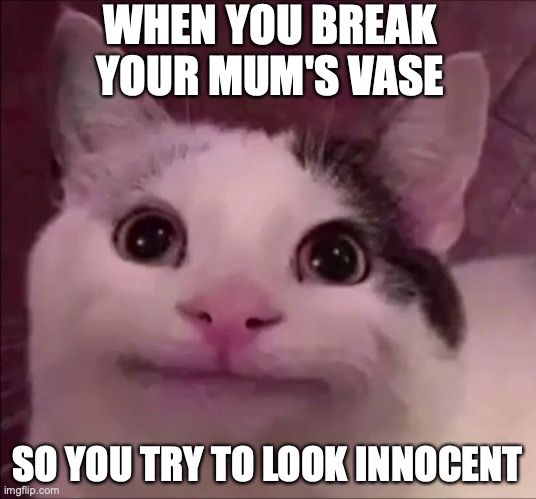 Oh no |  WHEN YOU BREAK YOUR MUM'S VASE; SO YOU TRY TO LOOK INNOCENT | image tagged in awkward smile cat | made w/ Imgflip meme maker