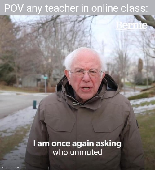 ANGRY BERNIE | POV any teacher in online class:; who unmuted | image tagged in memes,bernie i am once again asking for your support | made w/ Imgflip meme maker