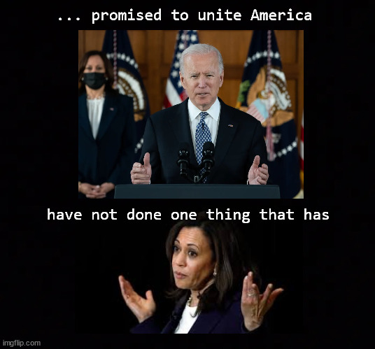 Biden Harris uniting America | ... promised to unite America; have not done one thing that has | image tagged in biden,harris,uniting america | made w/ Imgflip meme maker