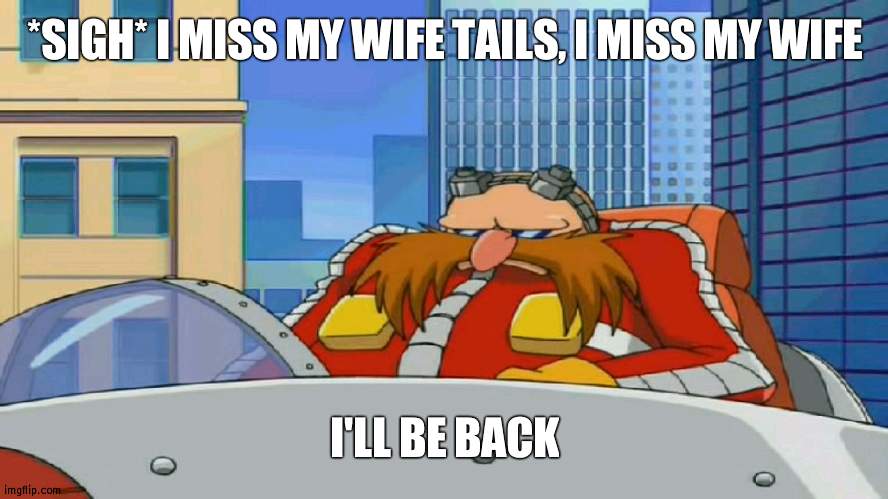 Eggman is Disappointed - Sonic X | *SIGH* I MISS MY WIFE TAILS, I MISS MY WIFE; I'LL BE BACK | image tagged in eggman is disappointed - sonic x | made w/ Imgflip meme maker