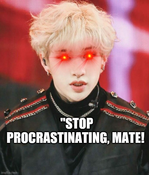 "STOP PROCRASTINATING, MATE! | image tagged in funny memes | made w/ Imgflip meme maker