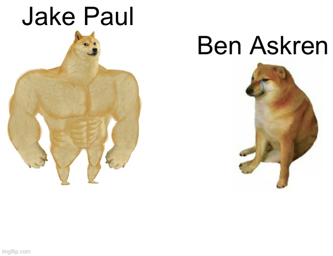 Buff Doge vs. Cheems | Jake Paul; Ben Askren | image tagged in memes,buff doge vs cheems | made w/ Imgflip meme maker