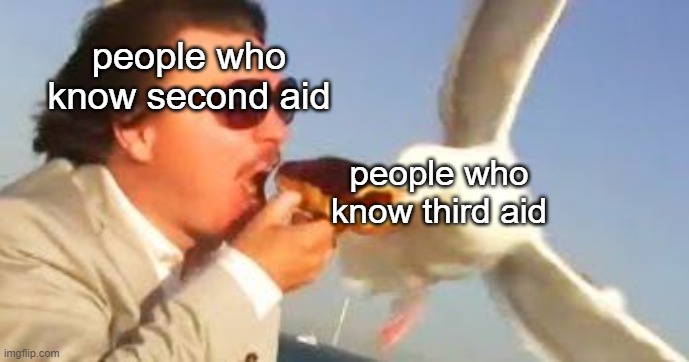 swiping seagull | people who know second aid; people who know third aid | image tagged in swiping seagull | made w/ Imgflip meme maker