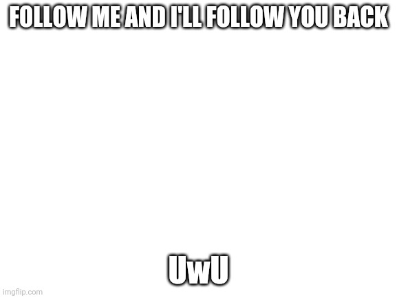 Blank White Template | FOLLOW ME AND I'LL FOLLOW YOU BACK; UwU | image tagged in blank white template | made w/ Imgflip meme maker