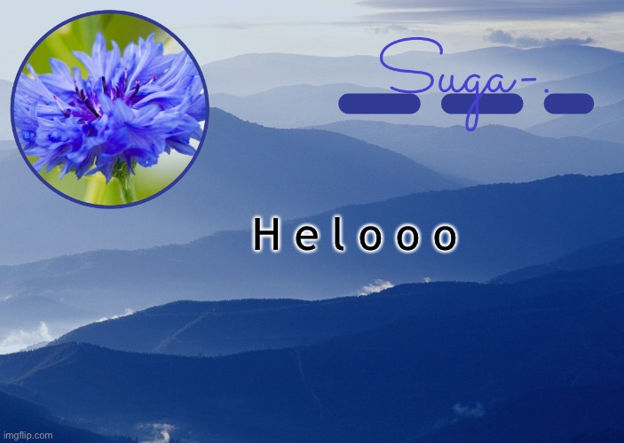 : D | H e l o o o | image tagged in y a y y y | made w/ Imgflip meme maker