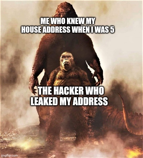 You picked the wrong house fool | ME WHO KNEW MY HOUSE ADDRESS WHEN I WAS 5; THE HACKER WHO LEAKED MY ADDRESS | image tagged in godzilla vs kong | made w/ Imgflip meme maker