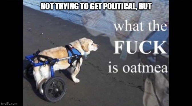 wtf is oatmeal | NOT TRYING TO GET POLITICAL, BUT | image tagged in wtf is oatmeal | made w/ Imgflip meme maker